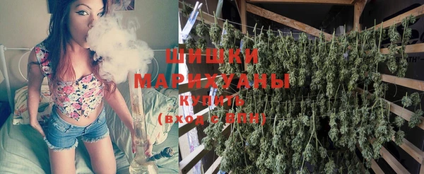 дживик Аркадак