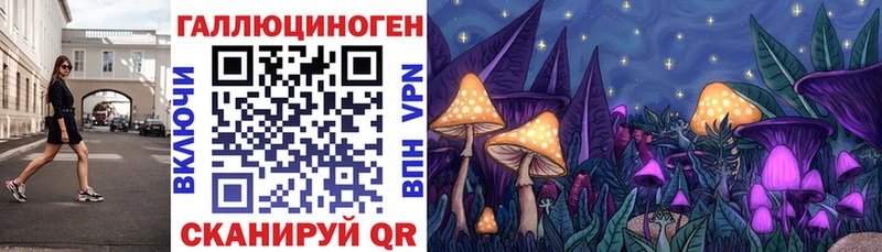 хочу   Лихославль  Псилоцибиновые грибы Psilocybe 